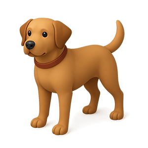 Dogs