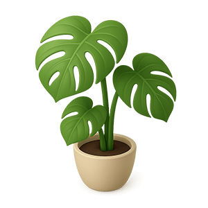 Houseplants